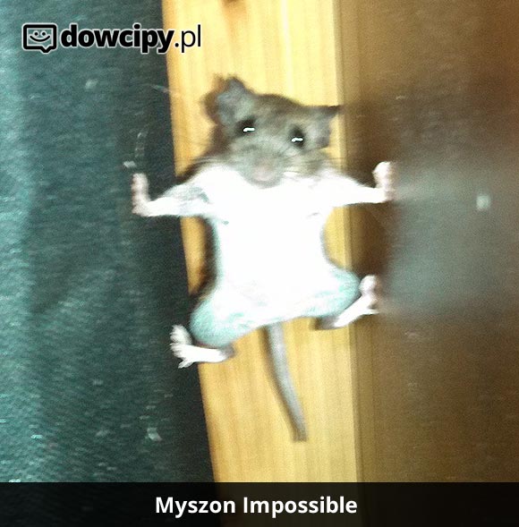 Myszon Impossible!