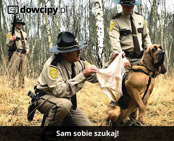 Sam sobie szukaj!