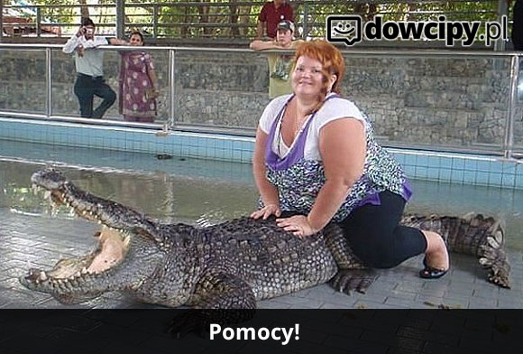 Pomocy!