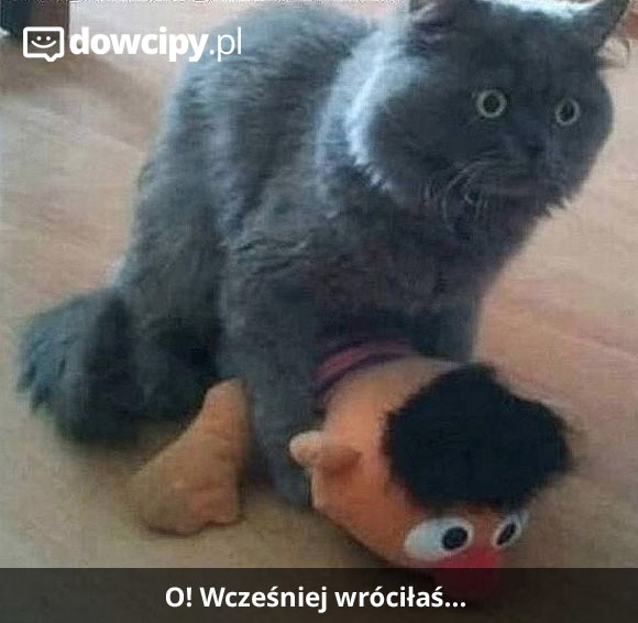 O! Wcześniej wróciłaś...