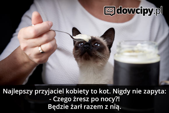 Najlepszy przyjaciel kobiety to kot. Kot nigdy nie zapyta:
- Czego żresz po nocy?!
Będzie żarł razem z nią.