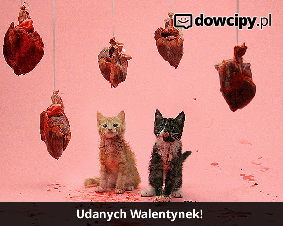 Udanych Walentynek!