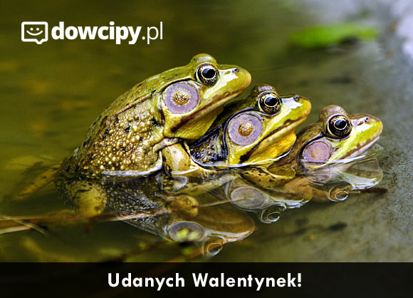 Udanych Walentynek!