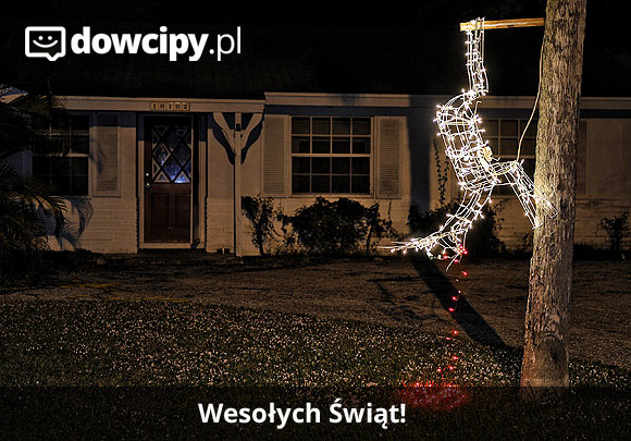 Wesołych Świąt!