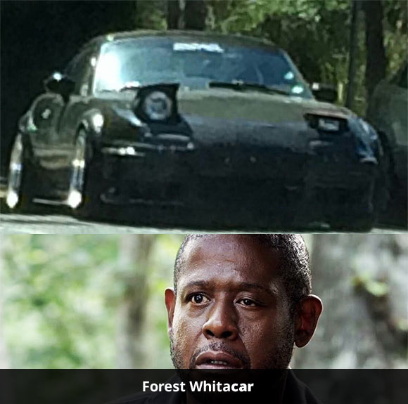 Forest Whitacar.