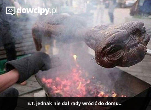 E.T. jednak nie dał rady wrócić do domu...