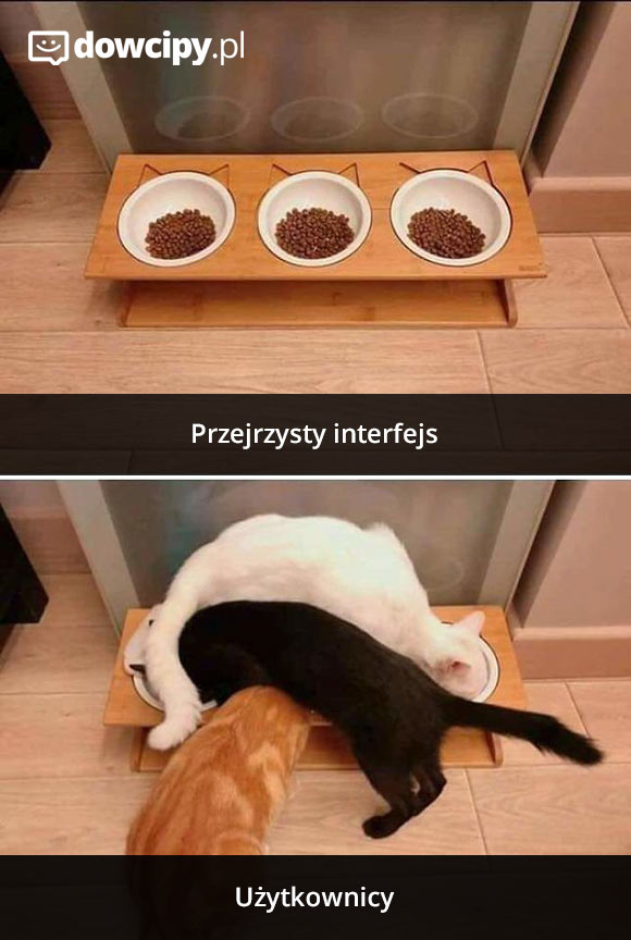 Przejrzysty interfejs vs. użytkownicy